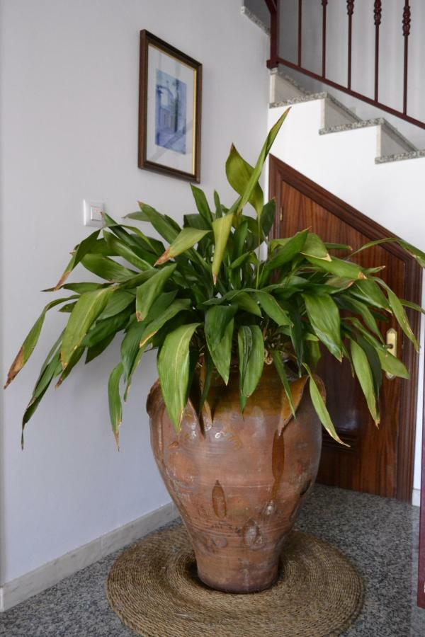 Pegalajar Apartamentos Rurales Parque מראה חיצוני תמונה